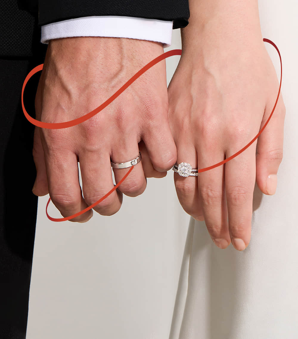 darry ring wedding rings